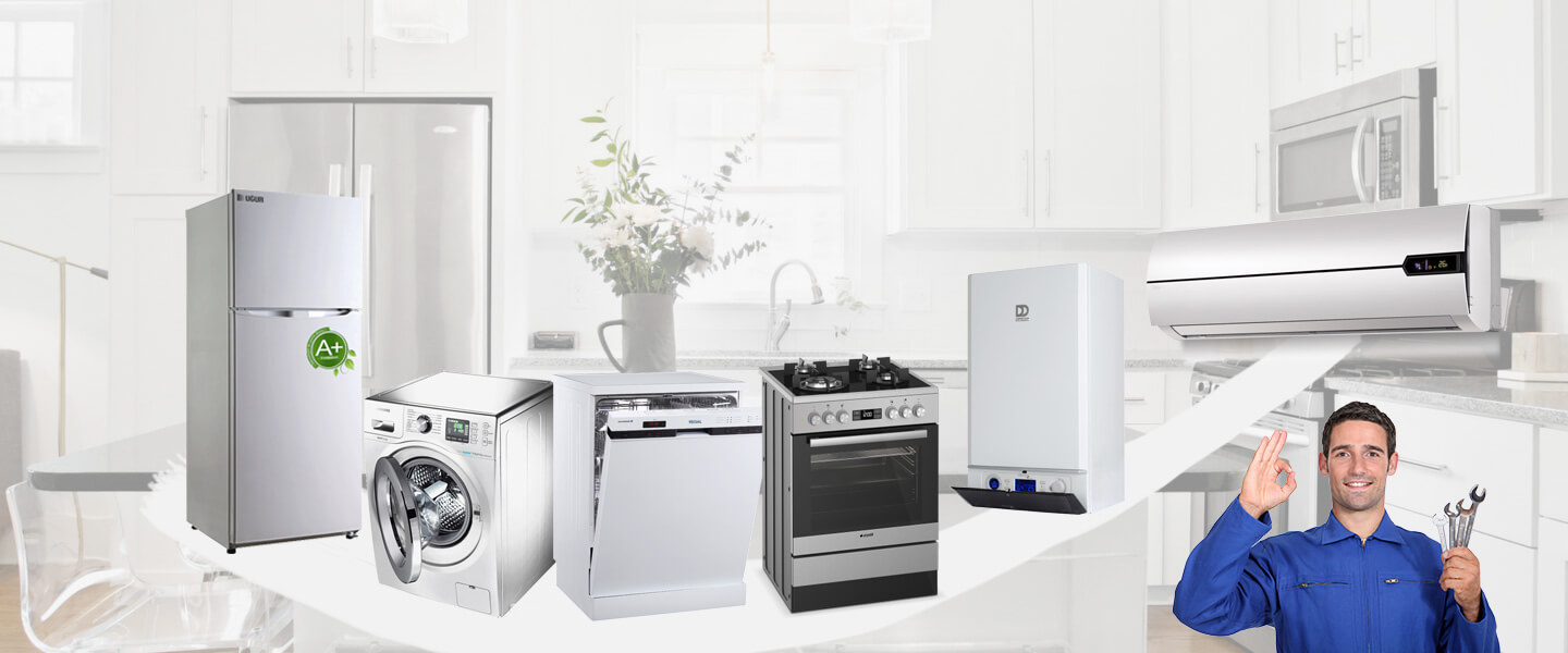 Fatsa Electrolux Servisi